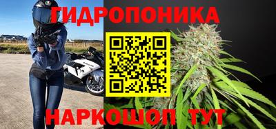 Альфа ПВП Бийск
