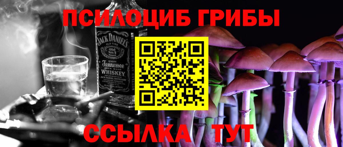 Галлюциногенные грибы GOLDEN TEACHER  Вход с VPN  Каменка 