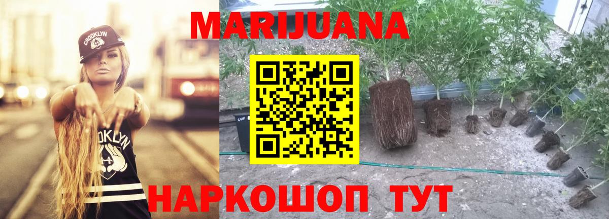 Бошки Шишки VHQ Каменка